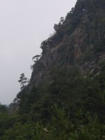 Profilo della Ferrata di Covarey, scendendo nel bosco verso i prati (5427 bytes)
